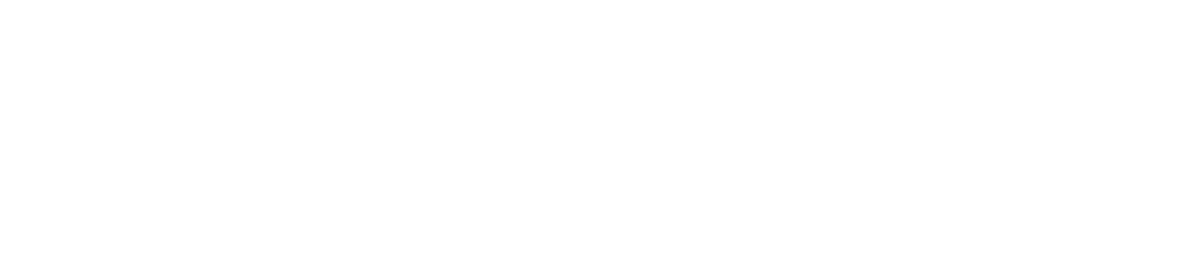 SETWorks Logo- all white