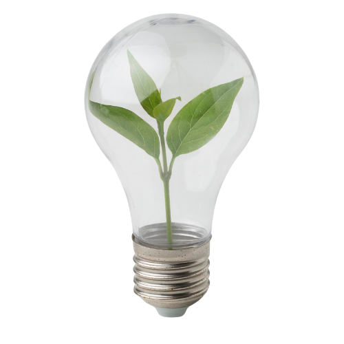 InnovationLightBulb